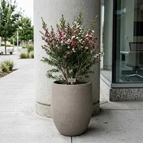 Tall, smooth-finish architectural pottery positioned by a concrete structural pillar. Manufactured from durable glass fiber reinforced concrete for commercial facade and premium office exterior landscaping.